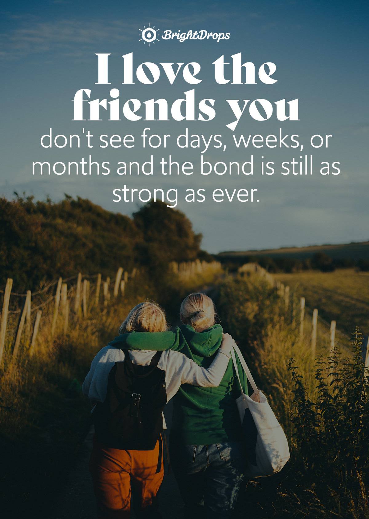 Friendship Day Quotes For Best Friend In English