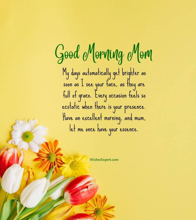 Good Morning Mom Quotes