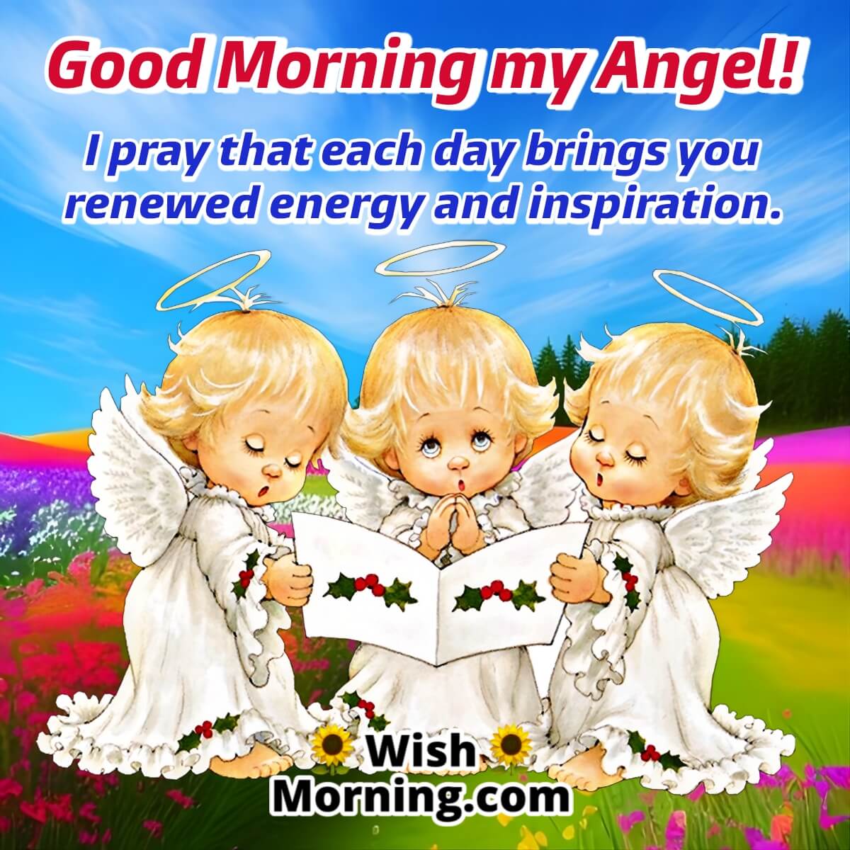 51+ Best Good Morning Angel Images & GM Angel Quotes