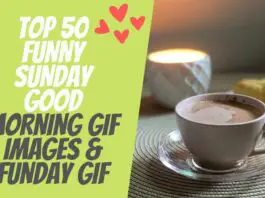 Top 50 Funny Sunday Good Morning GIF Images & Funday GIF