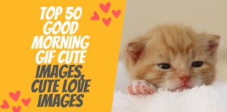 Top 50 Good Morning GIF Cute Images, Cute Love Images